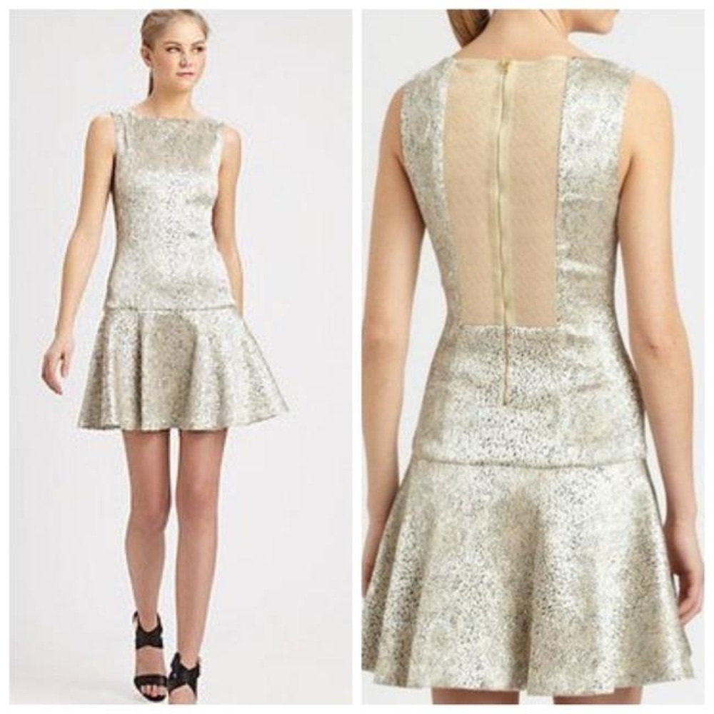 Alice + Olivia Lora Drop Waist Dress (Size small)